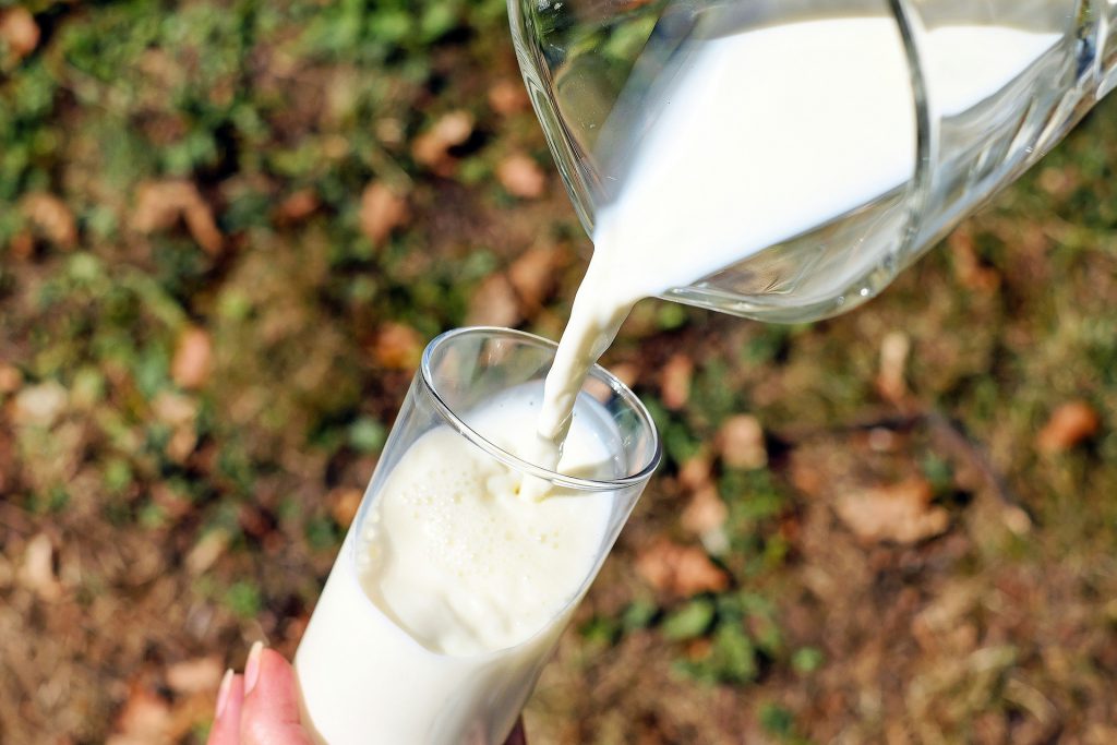 Raw milk boosts immunity, cooked Milk reduces it!